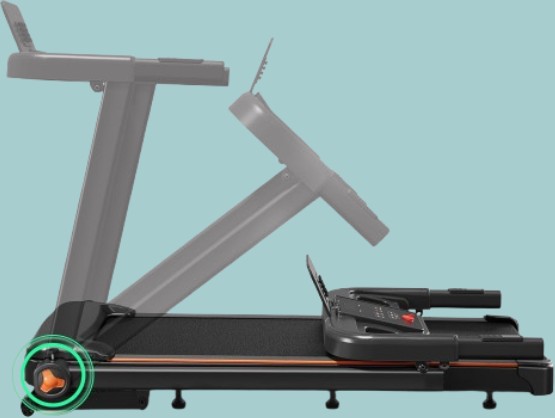 Signature Yuejiqi Features